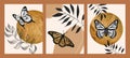 Poster wall art vector set. Artistic drawing of the butterfly